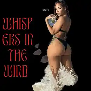 Picture for song 'WHISPERS IN THE WIND BEATS' by artist 'TWOCHEEKS BEATS'