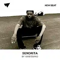 Picture for song 'Senorita (SOLD)' by artist 'Wabisband'