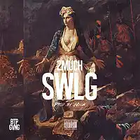 Picture for song '2Much - SWLG (Prod by 2Much)' by artist 'Black Tee Productions'
