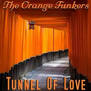 Picture for song 'Tunnel Of Love' by artist 'The Orange Funkers'