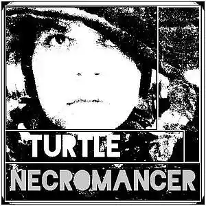 Picture for song 'Back Woods' by artist 'Turtle Necromancer'
