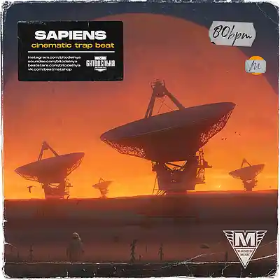 Picture for song 'Sapiens' by artist 'BITODELNYA'