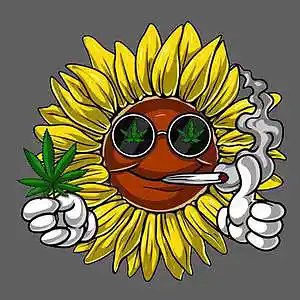 Picture for song 'Flaydoe-133BPM' by artist 'Cloddy on the track'
