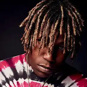 Picture for song 'Party In LA w Hook (Don Toliver Type Beat)' by artist 'Dr3amz Beats'