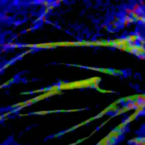 Picture for song '9011 YEARS' by artist 'EMIT TIME'