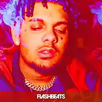Picture for song 'Purple Dreamz' by artist 'FlashBeats.net'
