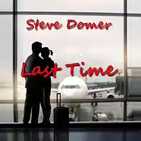 Picture for song 'Last Time' by artist 'Steve Domer'