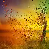 Picture for song 'The Breeze' by artist 'Swampman And The Machine'