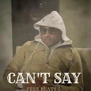 Picture for song 'DRAKE X FUTURE Type Beat "CAN'T SAY"' by artist 'AlA.Beatz'