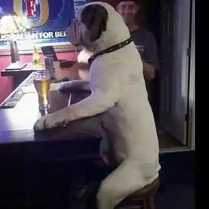 Picture for song 'Sunday Walk' by artist 'Brendan Jewell'