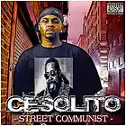 Picture for song 'CHECK MY CRUDENTIALS' by artist 'Cesolito'