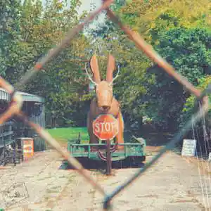 Picture for song 'deerabbit' by artist 'Cheesorable'