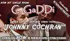 Picture for song 'Johnny Cochran' by artist 'Chris Gaddi'