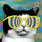 Picture for song 'Trippy Mane ::FREE DL::' by artist 'Masterpiece Music'