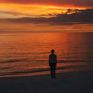 Picture for song 'Alone' by artist 'Mike Sullivan'