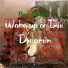 Picture for song 'Wake up or Die Dreamin - Album Sampler by Prince A' by artist 'N4RED BEATZ!!!!'