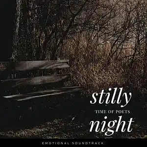 Picture for song 'STILLY NIGHT' by artist 'Peligot'