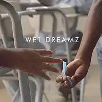 Picture for song 'Wet Dreamz Part 2' by artist 'SauceDaProducer'