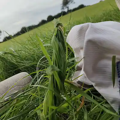 Picture for song '20240901_172211_fresh_FS' by artist '786 scheint-Al'lahs Bande'