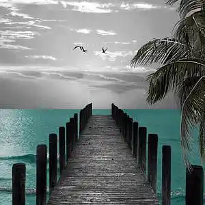 Picture for song 'Carrying On' by artist 'Dream States'