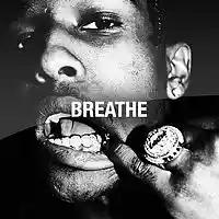 Picture for song 'BREATHE' by artist 'FlashBeats.net'