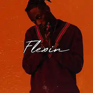 Picture for song 'Flexin' by artist 'Frankenstein Beats'