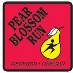 Picture for song 'Pear Blossom Day' by artist 'Johanna Renfro'