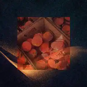 Picture for song 'FRUTAL - Smooth Type Beat' by artist 'kroth'