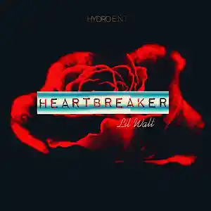 Picture for song 'cant stop now interlude' by artist 'Lil Walt'