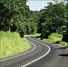 Picture for song 'Key to the Highway' by artist 'Little Charlie'