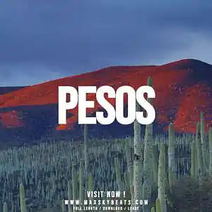 Picture for song 'Pesos' by artist 'MaxSky'