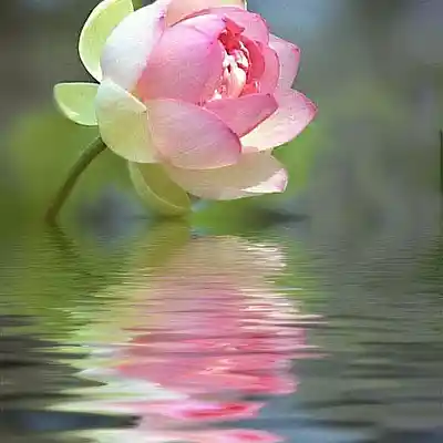 Picture for song 'Lo Siento Asi - Zack14' by artist 'Zack14'