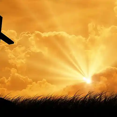 Picture for song 'War zone' by artist 'adam lee 12'