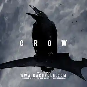 Picture for song 'CROW (Buy 1 Get 1 Free)' by artist 'Da Cupule'