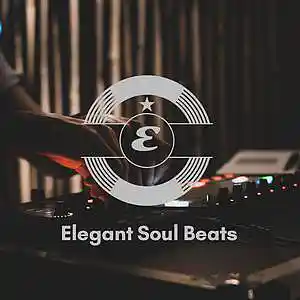 Picture for song 'Kryptic' by artist 'Elegant Soul Beats'