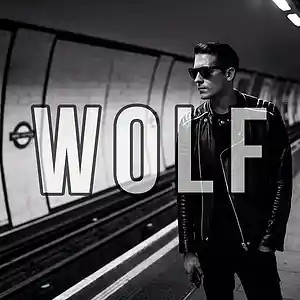 Picture for song 'Wolf | Free Download' by artist 'Frankenstein Beats'