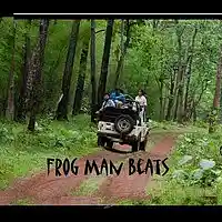 Picture for song 'Indian Man Frogman Beats' by artist 'Frogman beats STore'