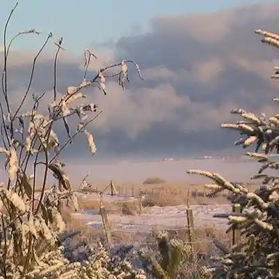 Picture for song 'The Colour Of Rain' by artist 'Graham Maharg'