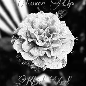 Picture for song 'Cover UP' by artist 'Khid Xed'