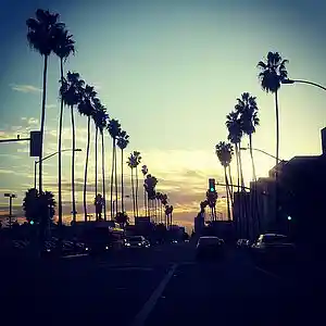 Picture for song 'Blueface Westcoast Type Beat' by artist 'RelevantBeats90'