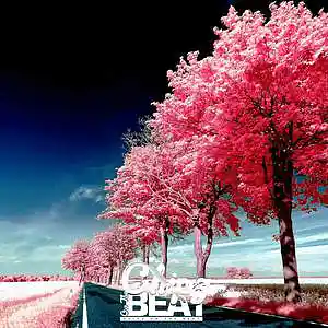 Picture for song '"Voicemail"' by artist 'Chipz On The Beat'