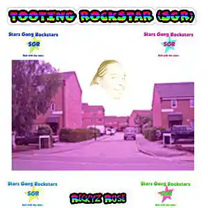 Picture for song 'Reckyz Rose (Tooting Rockstar) Skip' by artist 'Christopher Liam Rose'