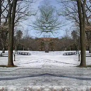 Picture for song 'Request the Honour of Your Presence' by artist 'Cylindrical Spirals'