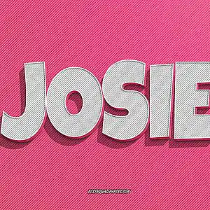 Picture for song 'Josie' by artist 'DANKONG'