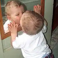 Picture for song 'Narcissita' by artist 'Doug Murphy'