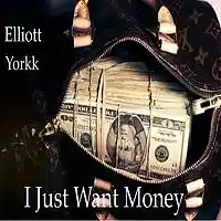 Picture for song 'I Just Want Money' by artist 'Elliott Yorkk'