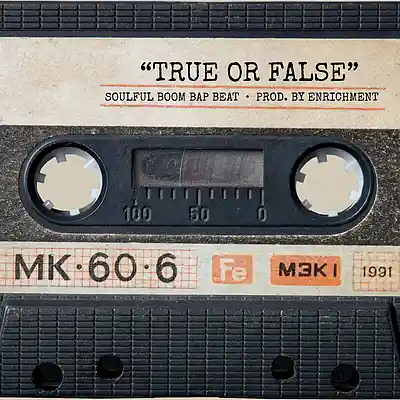 Picture for song 'True Or False (Soulful Boom Bap Beat)' by artist 'Enrichment'