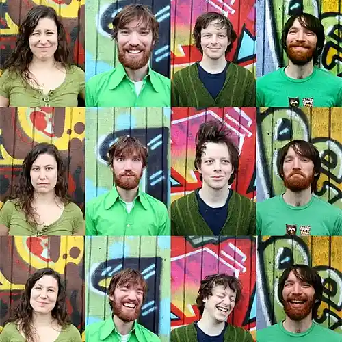 Picture for song 'Transmogrified' by artist 'Hoot Hoots'