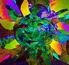 Picture for song 'Whole world' by artist 'Helen Adove Hawk'