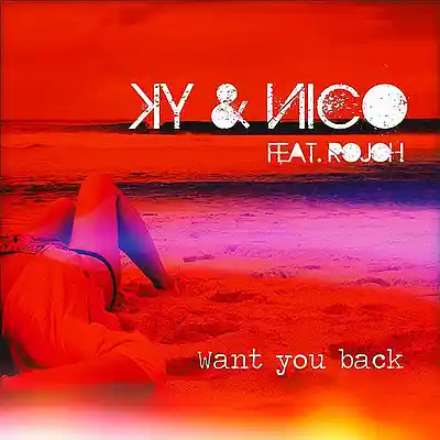 Picture for song 'Want U Back Instrumental' by artist 'Trashcan Music Productions'